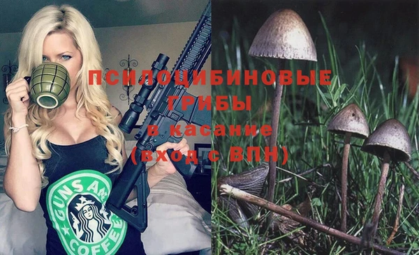 гидра Дмитриев